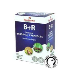 MAMBORETA B+R - 100 GR