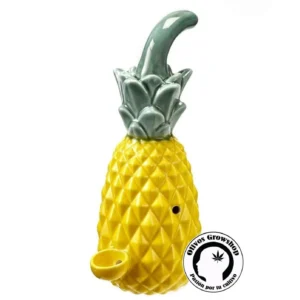 PIPA DE CERAMICA ANANÁ 21CM