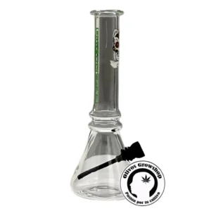 BONG DE VIDRIO DYK 20CM