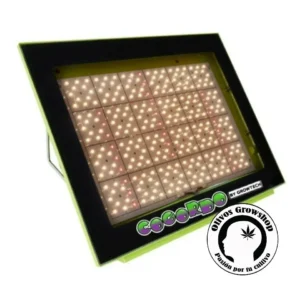 LED COGORDO P1000 / 200 W IDEAL 1X1