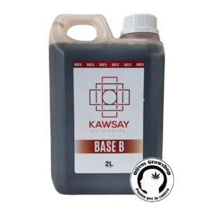 KAWSAY NUTRIENTES BASE B - 2 LITROS