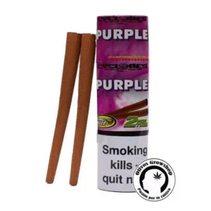 SEDAS CYCLONES X2 UNIDADES - PURPLE