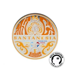 SEMILLAS CANNABIS SANTANESIA - BLISTER X5