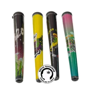 PORTA FASO BLUNT REY