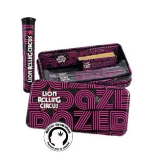 DAZED KIT LION ROLLING CIRCUS