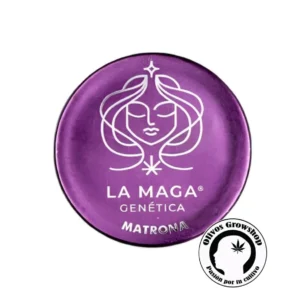 SEMILLAS CANNABIS MATRONA - BLISTER X5