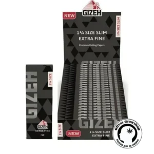 SEDAS GIZEH EXTRA FINE BLACK - REGULAR