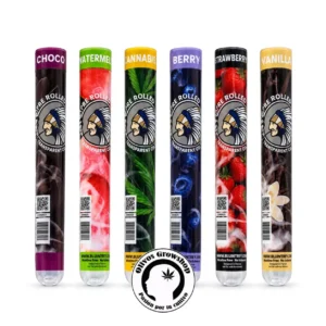 SEDAS BLUNT REY CELULOSA CONO X2